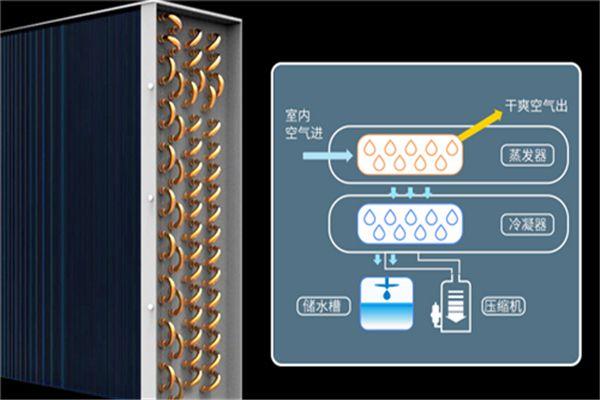 別墅為什么必須要考慮新風(fēng)除濕？