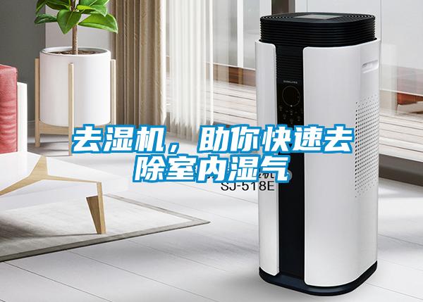 去濕機，助你快速去除室內濕氣