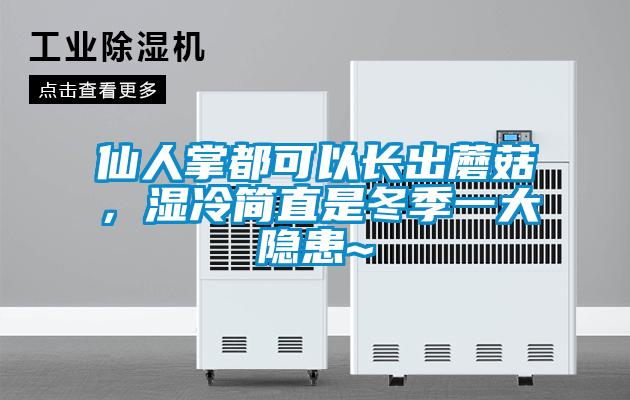仙人掌都可以長(cháng)出蘑菇，濕冷簡(jiǎn)直是冬季一大隱患~