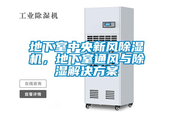 地下室中央新風(fēng)除濕機，地下室通風(fēng)與除濕解決方案