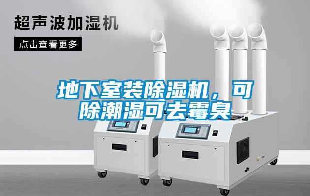 地下室裝除濕機，可除潮濕可去霉臭