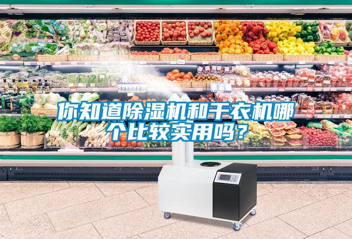 你知道除濕機和干衣機哪個(gè)比較實(shí)用嗎？