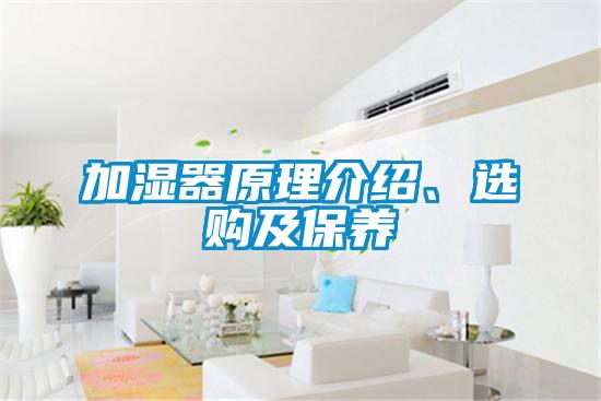 加濕器原理介紹、選購及保養