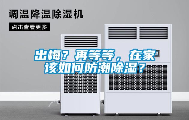 出梅？再等等，在家該如何防潮除濕？