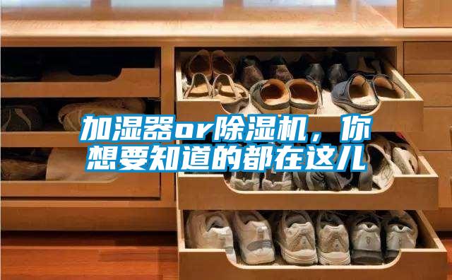 加濕器or除濕機，你想要知道的都在這兒