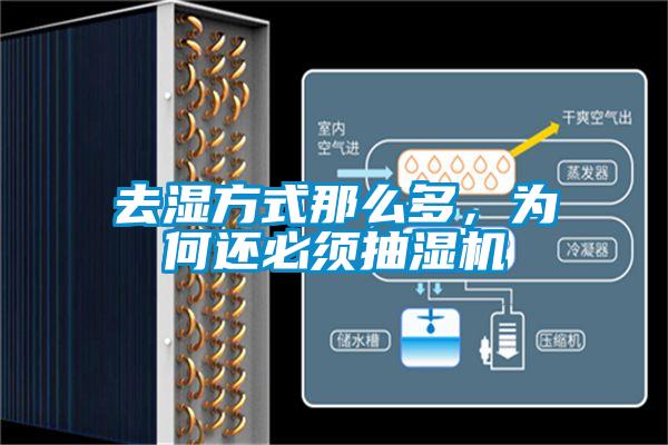 去濕方式那么多，為何還必須抽濕機