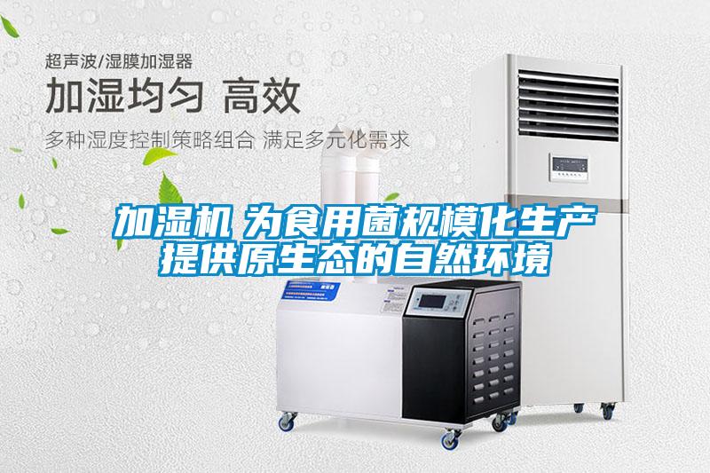 加濕機　為食用菌規?；a(chǎn)提供原生態(tài)的自然環(huán)境