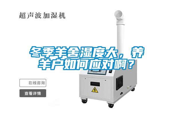 冬季羊舍濕度大，養羊戶(hù)如何應對??？