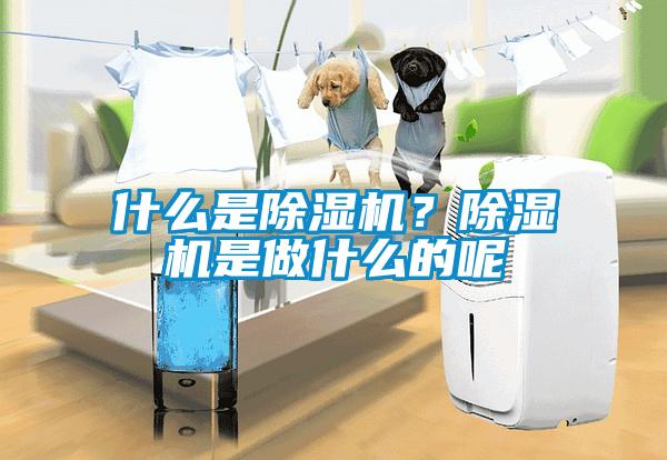 什么是除濕機？除濕機是做什么的呢
