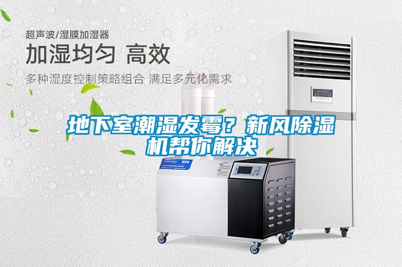 地下室潮濕發(fā)霉？新風(fēng)除濕機幫你解決