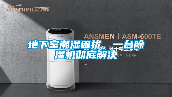 地下室潮濕困擾，一臺除濕機徹底解決