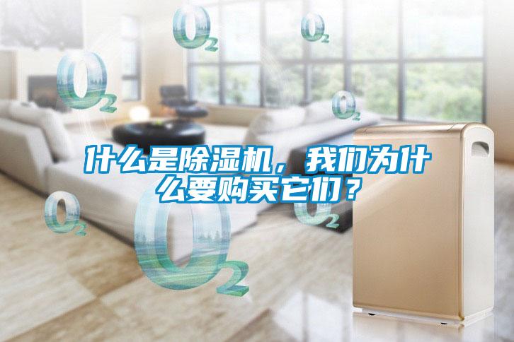 什么是除濕機，我們?yōu)槭裁匆徺I(mǎi)它們？