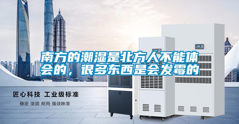 南方的潮濕是北方人不能體會(huì )的，很多東西是會(huì )發(fā)霉的