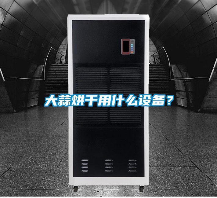大蒜烘干用什么設備？
