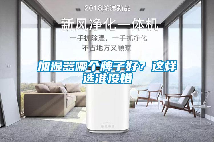 加濕器哪個(gè)牌子好？這樣選準沒(méi)錯