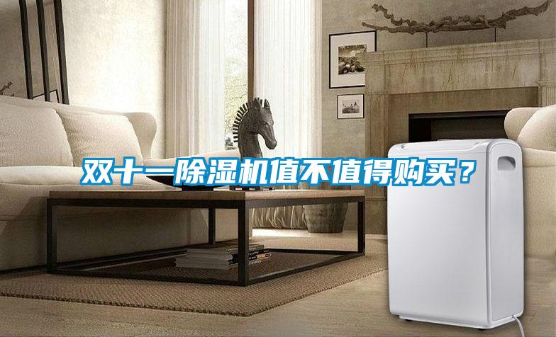雙十一除濕機值不值得購買(mǎi)？