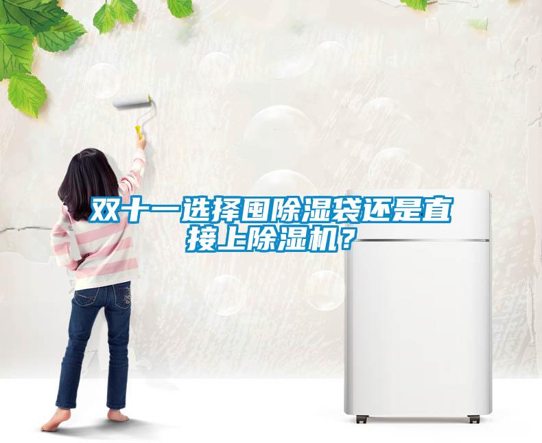雙十一選擇囤除濕袋還是直接上除濕機？