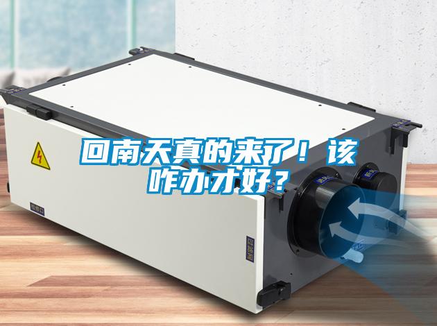 回南天真的來(lái)了！該咋辦才好？