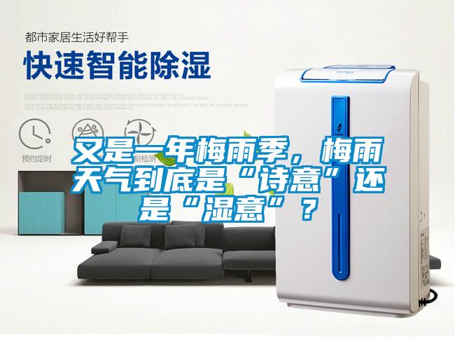 又是一年梅雨季，梅雨天氣到底是“詩(shī)意”還是“濕意”？