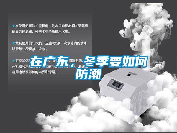 在廣東，冬季要如何防潮