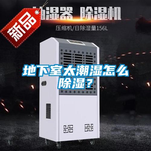 地下室太潮濕怎么除濕？