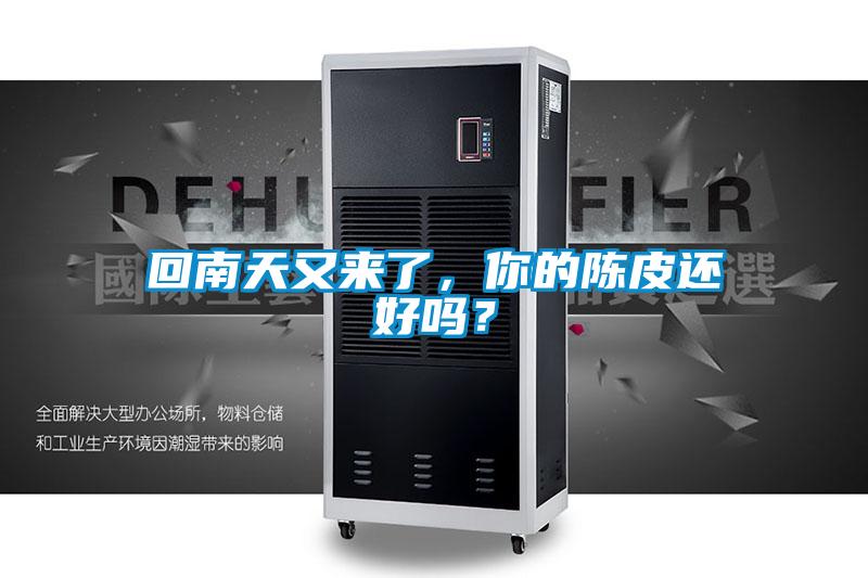 回南天又來(lái)了，你的陳皮還好嗎？