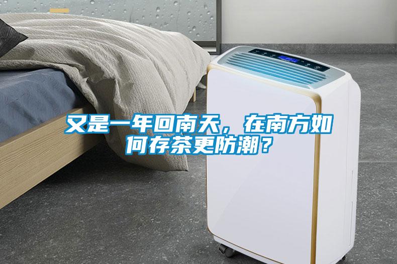 又是一年回南天，在南方如何存茶更防潮？