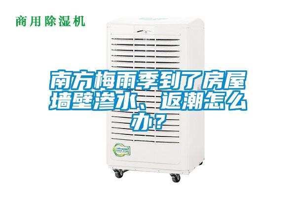 南方梅雨季到了房屋墻壁滲水、返潮怎么辦？