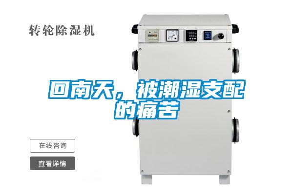回南天，被潮濕支配的痛苦
