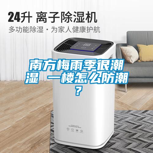 南方梅雨季很潮濕 一樓怎么防潮？