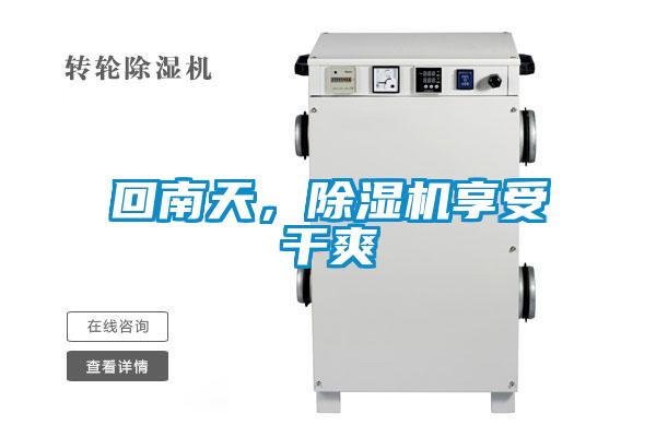 回南天，除濕機享受干爽