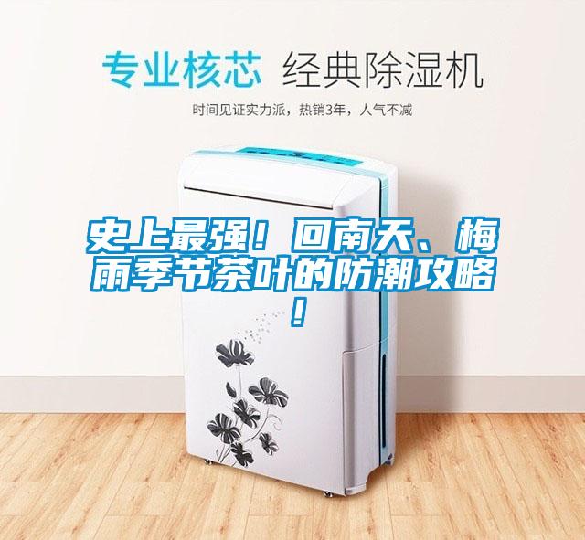 史上最強！回南天、梅雨季節茶葉的防潮攻略！