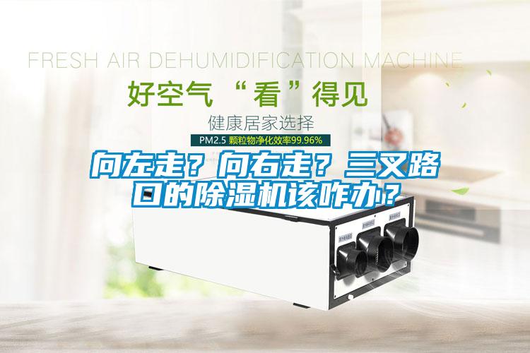 向左走？向右走？三叉路口的除濕機該咋辦？
