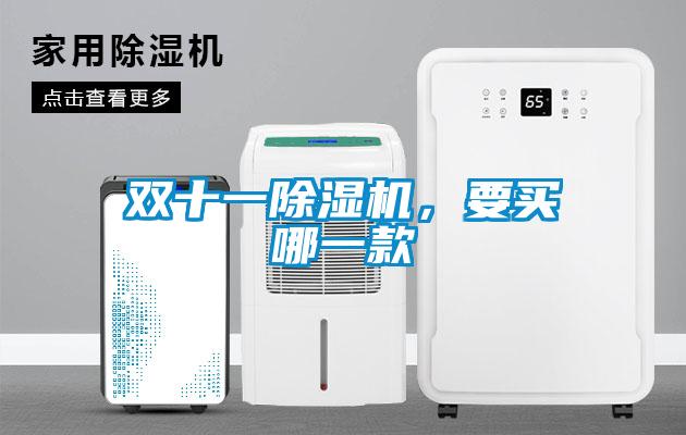 雙十一除濕機，要買(mǎi)哪一款