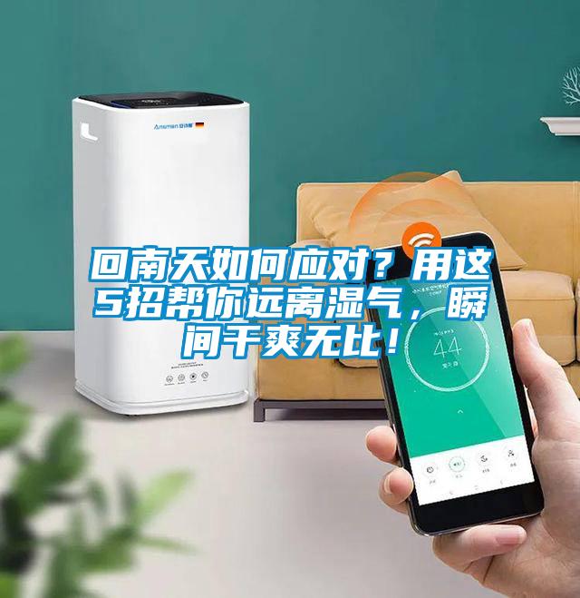 回南天如何應(yīng)對？用這5招幫你遠(yuǎn)離濕氣，瞬間干爽無比！