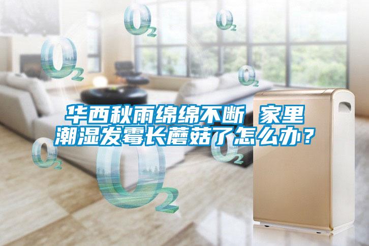 華西秋雨綿綿不斷 家里潮濕發(fā)霉長(cháng)蘑菇了怎么辦？