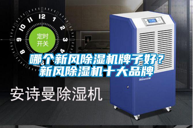 哪個(gè)新風(fēng)除濕機牌子好？新風(fēng)除濕機十大品牌
