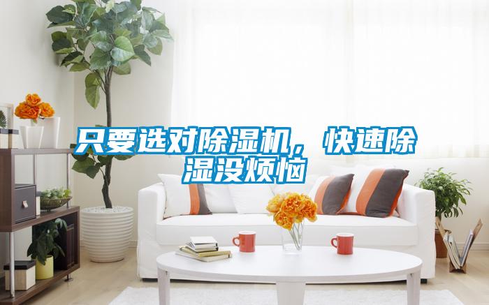 只要選對除濕機，快速除濕沒(méi)煩惱