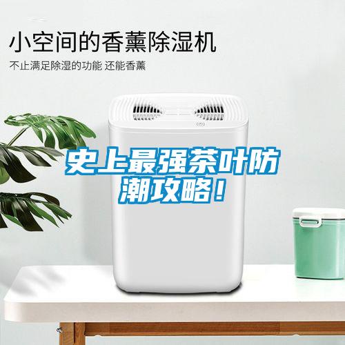 史上最強茶葉防潮攻略！
