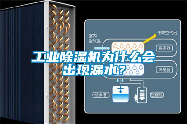 工業(yè)除濕機為什么會(huì )出現漏水？