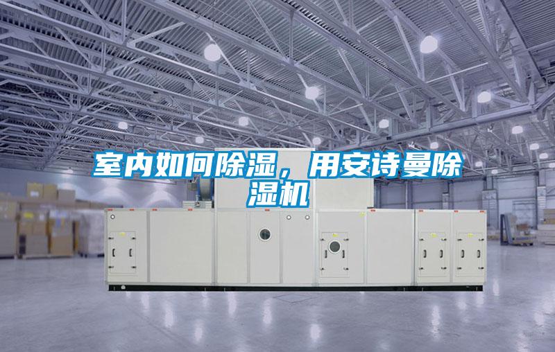 室內如何除濕，用安詩(shī)曼除濕機