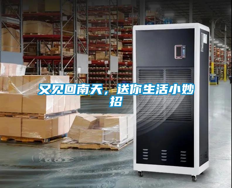 又見(jiàn)回南天，送你生活小妙招