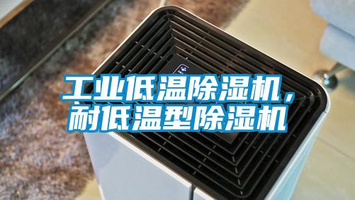 工業(yè)低溫除濕機，耐低溫型除濕機