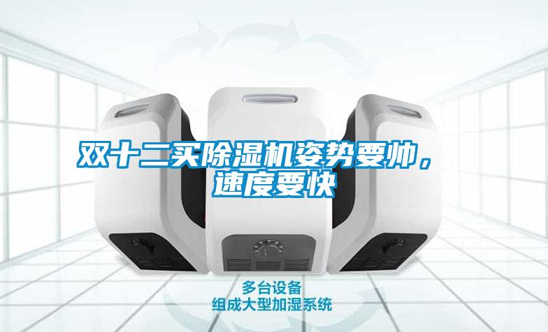 雙十二買(mǎi)除濕機姿勢要帥， 速度要快