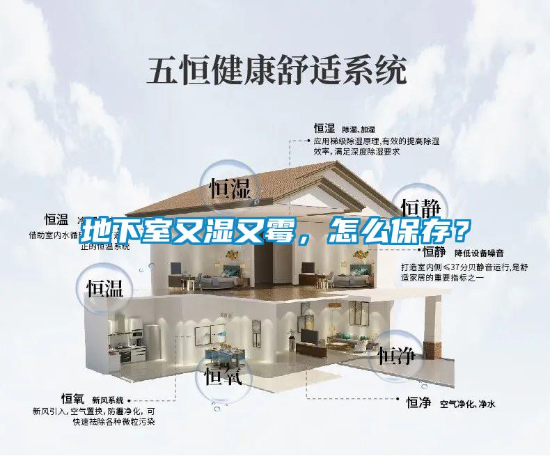 地下室又濕又霉，怎么保存？