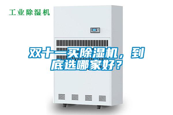 雙十一買(mǎi)除濕機，到底選哪家好？