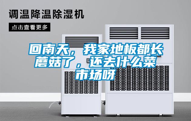 回南天，我家地板都長(cháng)蘑菇了，還去什么菜市場(chǎng)呀