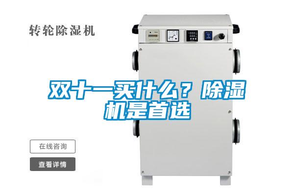 雙十一買(mǎi)什么？除濕機是首選