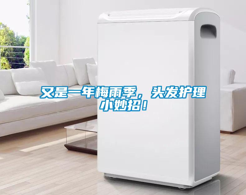 又是一年梅雨季，頭發(fā)護理小妙招！