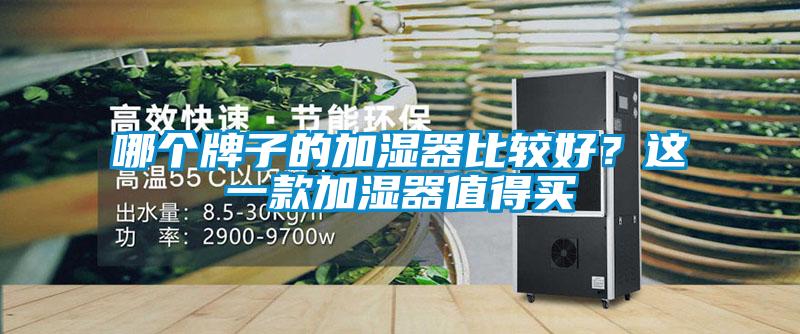 哪個(gè)牌子的加濕器比較好？這一款加濕器值得買(mǎi)